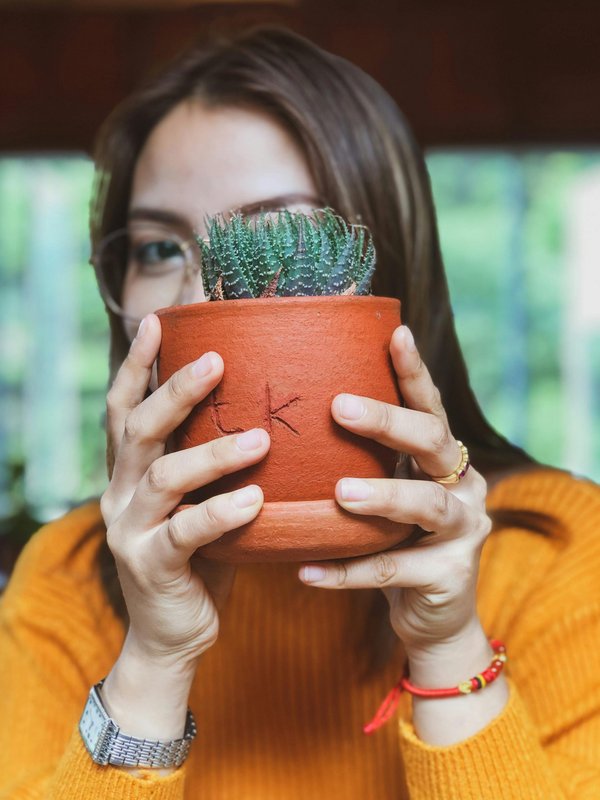 Découvrez les accessoires cactus pour un style unique